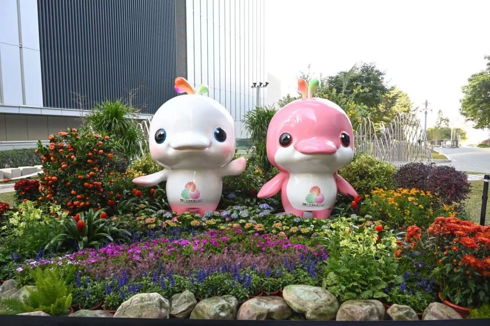一张门票可, 发展带来新